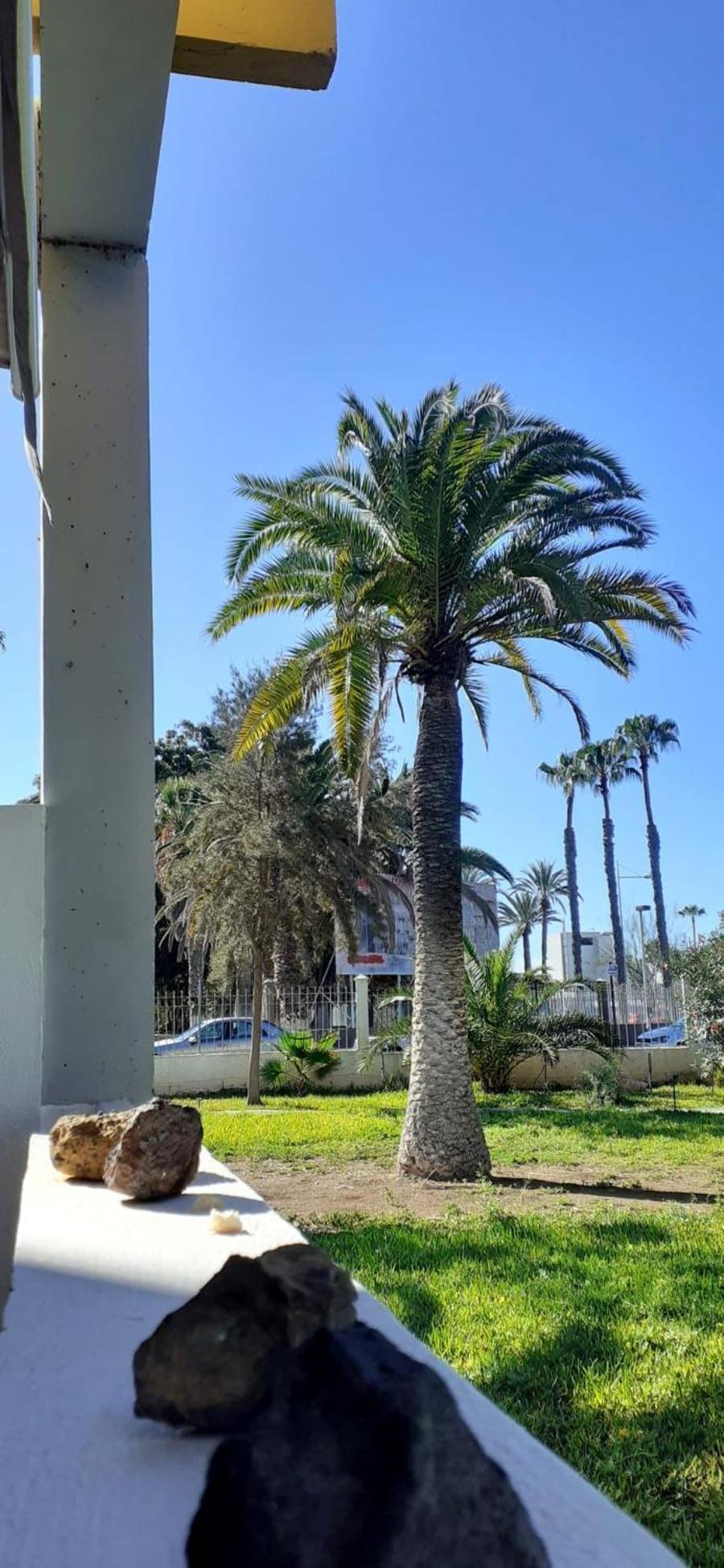 Casabarco Villa Costa Del Silencio Bagian luar foto